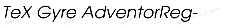 TeX Gyre AdventorReg字体转换